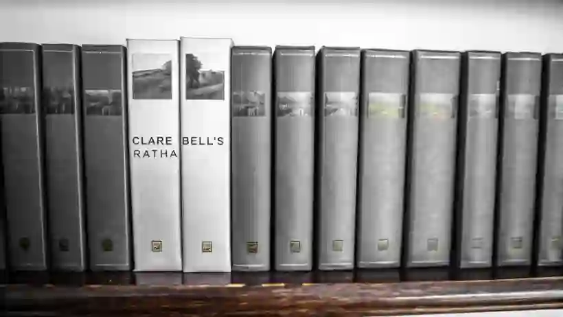 Clare Bell's Ratha series books arranged chronologically